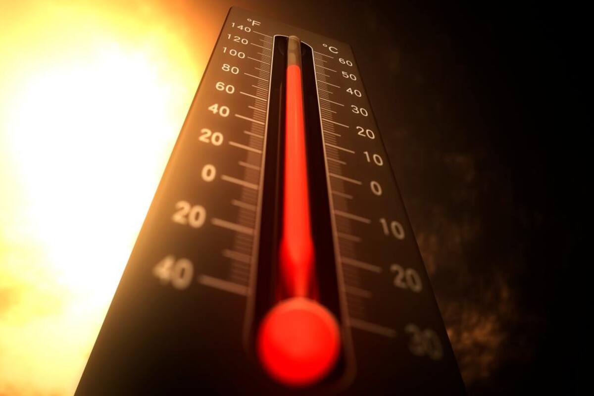 2023 podría ser el año más caluroso que haya conocido la humanidad