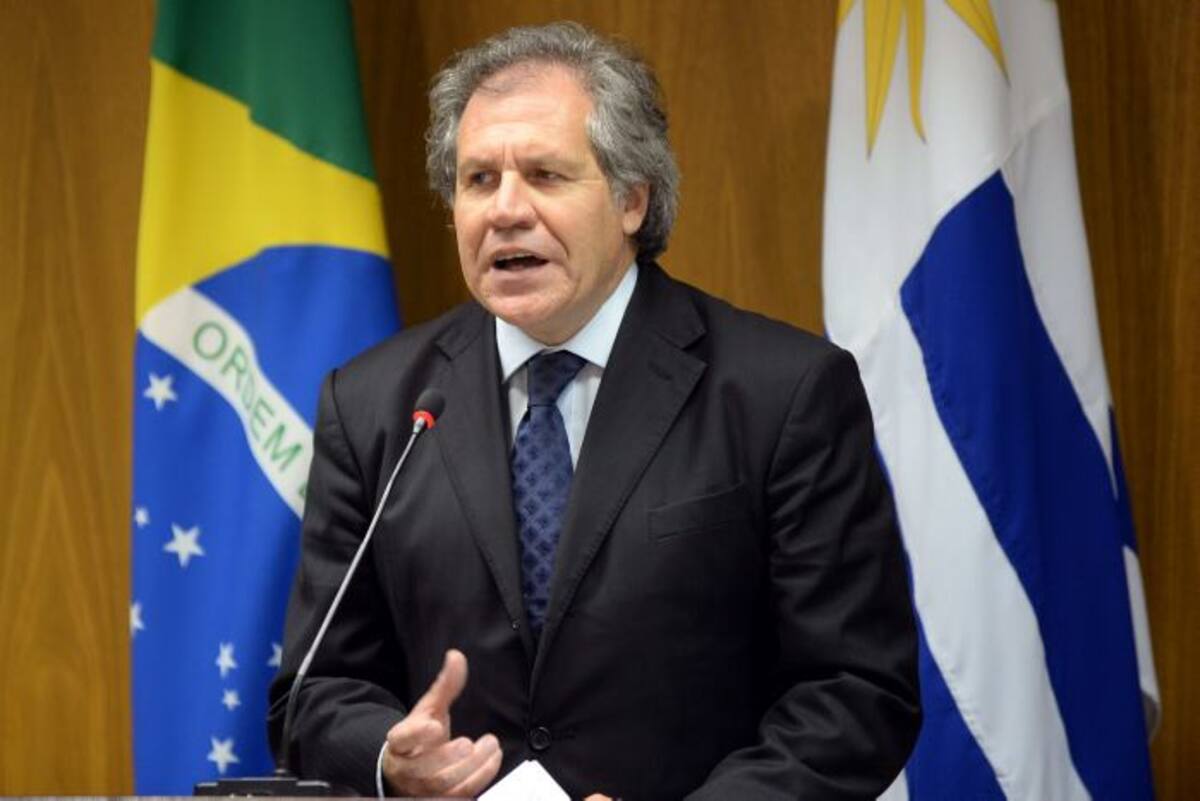 Luis Almagro, secretario general de la OEA. AFP EVARISTO SA