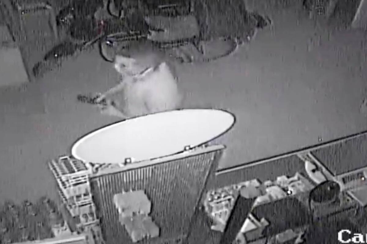Millonario robo quedó grabado en videos de cámaras de seguridad