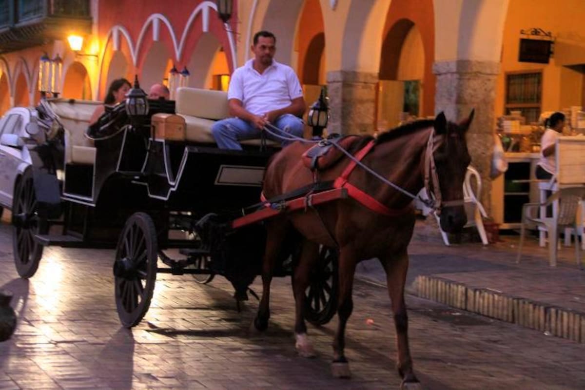 Continúan sanciones por sobrecupo en caballos cocheros