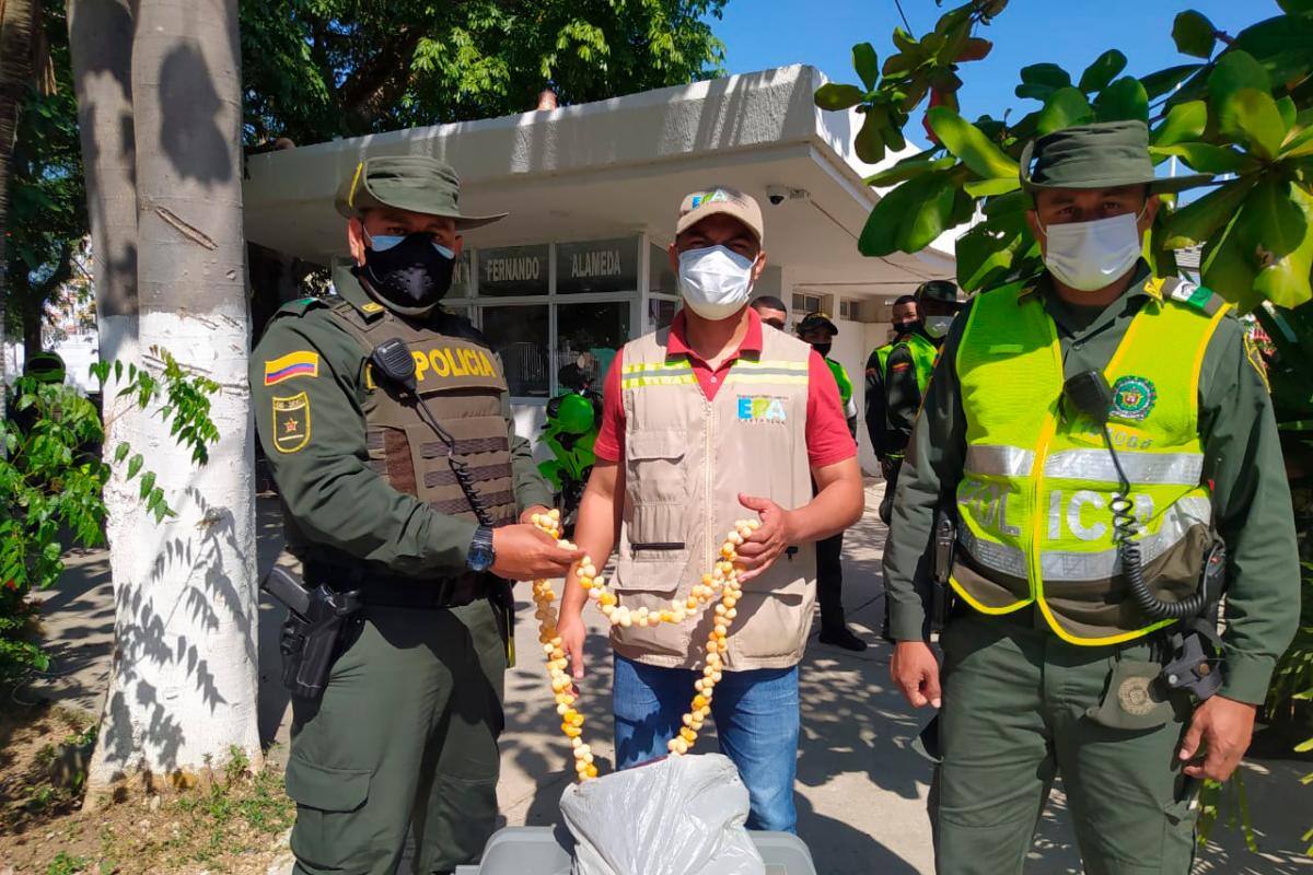 7 vendedores de huevos de iguana han sido capturados