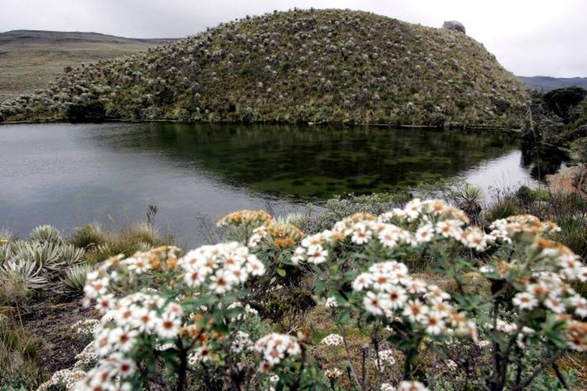 10 elementos claves que hacen de Colombia el segundo país más biodiverso