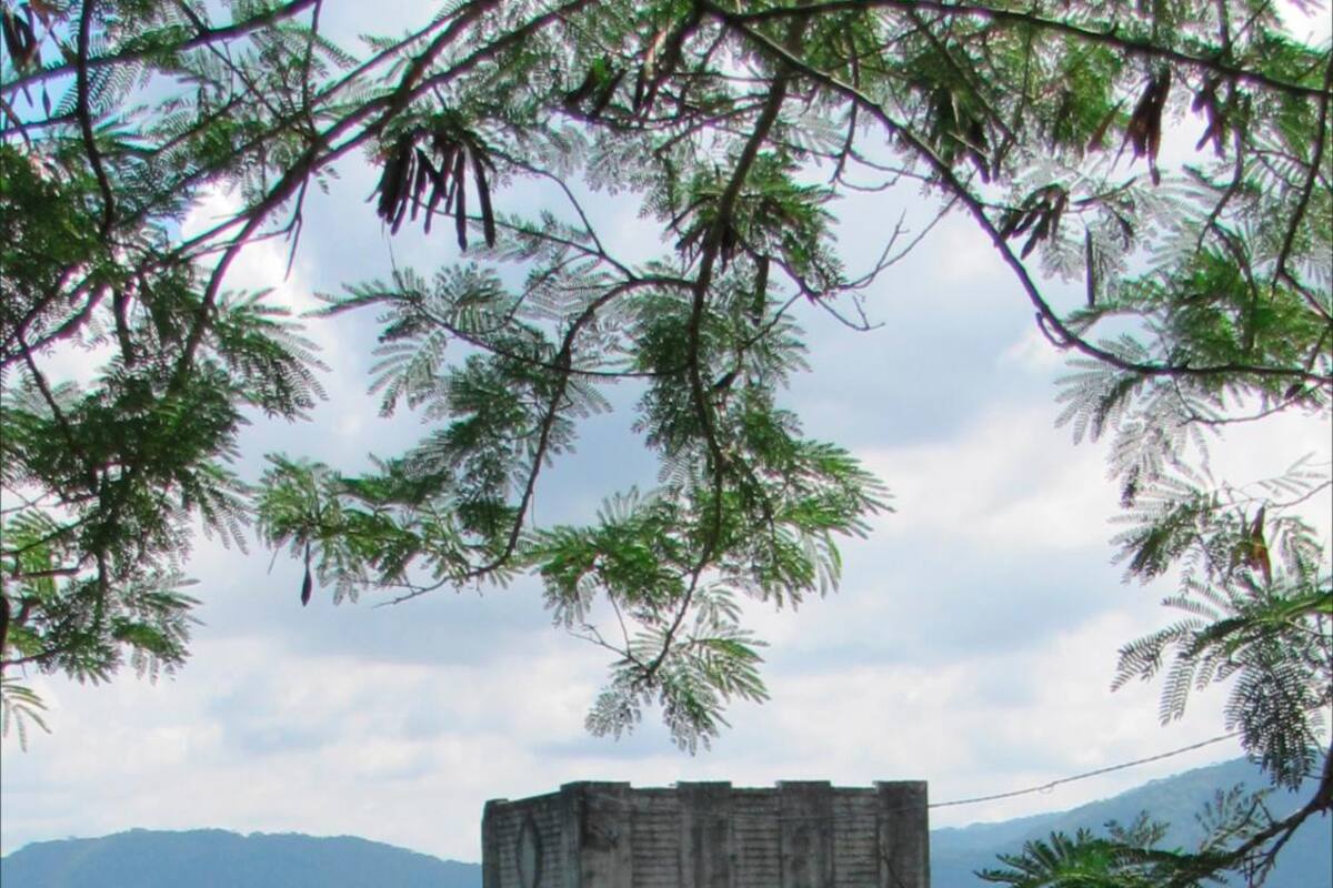 Las huellas del Viceministerio de Desarrollo Rural en Bolívar