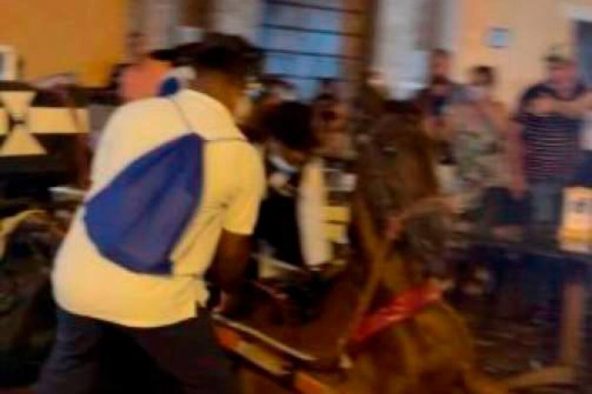 Piden al Distrito implementar acciones tras desplome de caballos cocheros