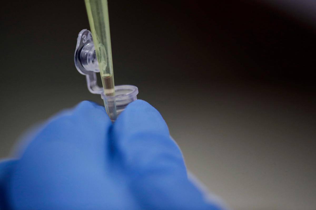 Anticuerpos biespecíficos eliminan las células cancerosas en ratones
