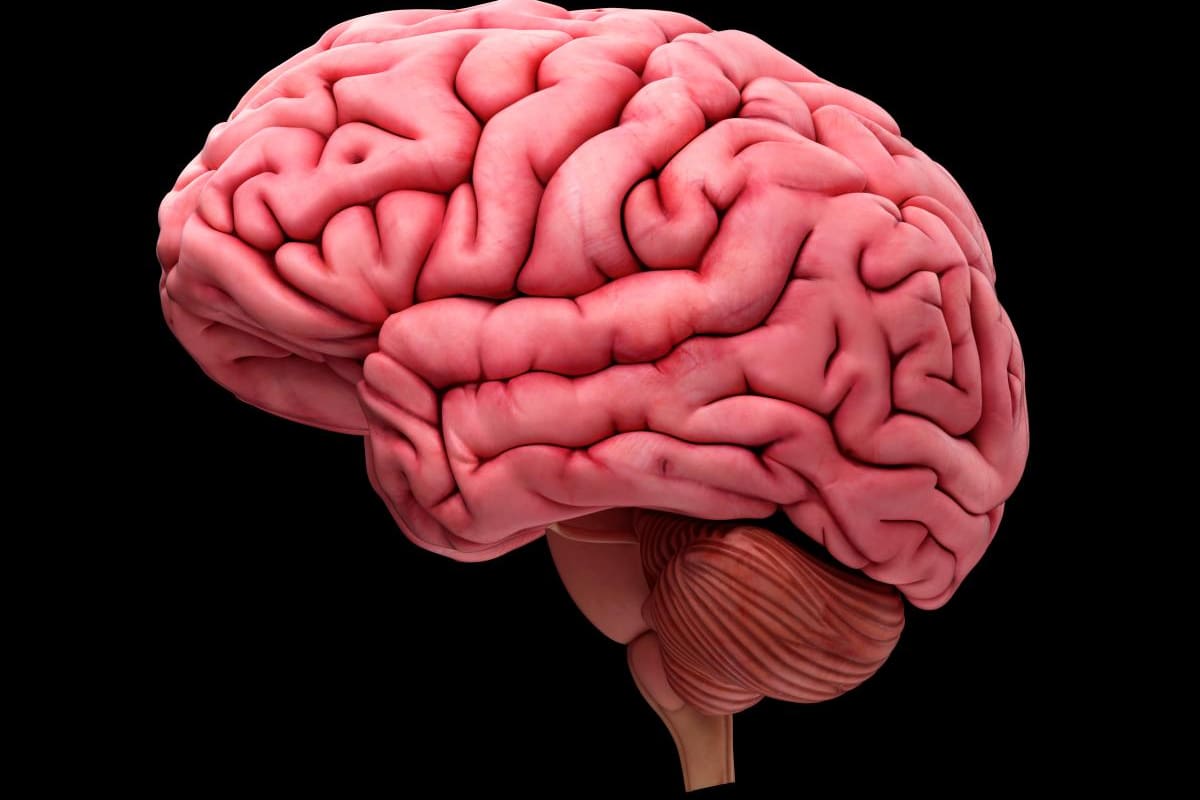 ¿Qué es la salud cognitiva y cómo debemos cuidarla?