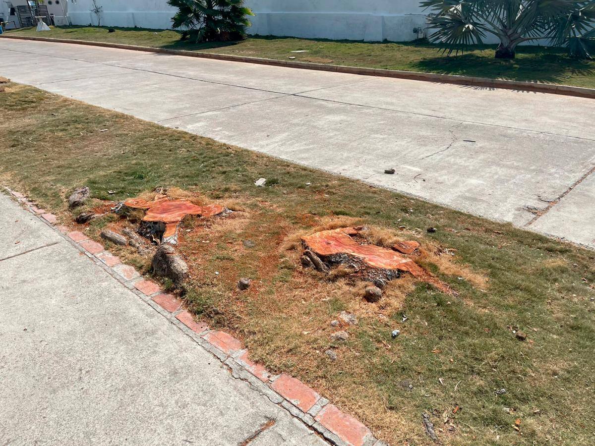 Según el EPA, la empresa Afinia debe hacer una compensación por la obra. // Foto: Cortesía