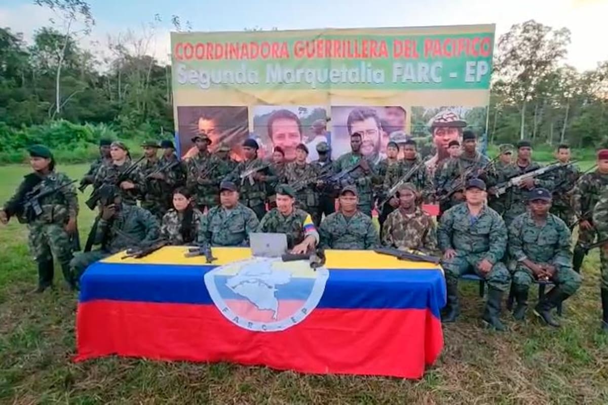 Video: “Dar por terminada esta guerra”, petición de disidencias de las Farc