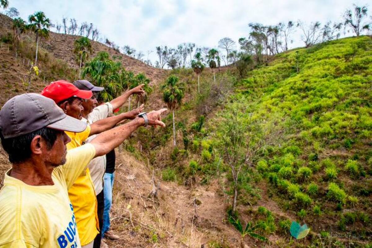 Así buscan proteger 5 mil hectáreas de bosque seco tropical en Bolívar
