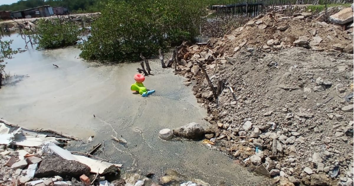 Illegal fillings that threaten the Ciénaga de la Virgen are denounced