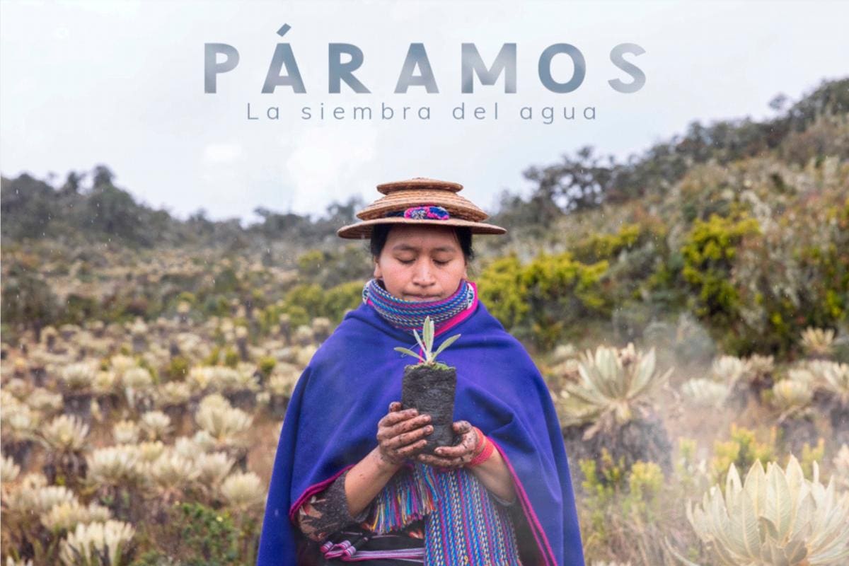 Producción colombiana triunfa en el Festival de Cine Santiago Wild 2024