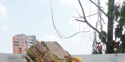 ‘Sacos verdes’, el programa de reciclaje de Argos está en Cartagena