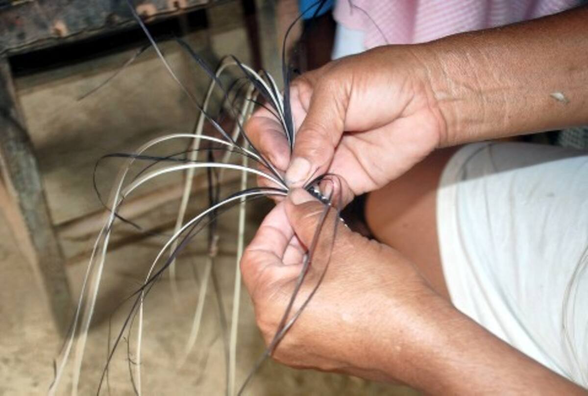 Un metro de trenza en caña flecha cuesta cerca de 450 pesos.