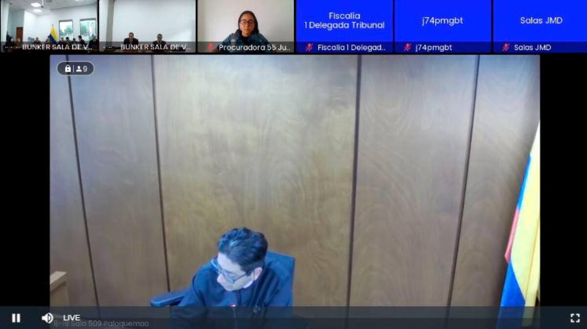 Audiencia de medida de aseguramiento contra Nicolás Petro y Day Vasquéz. // Captura de video.