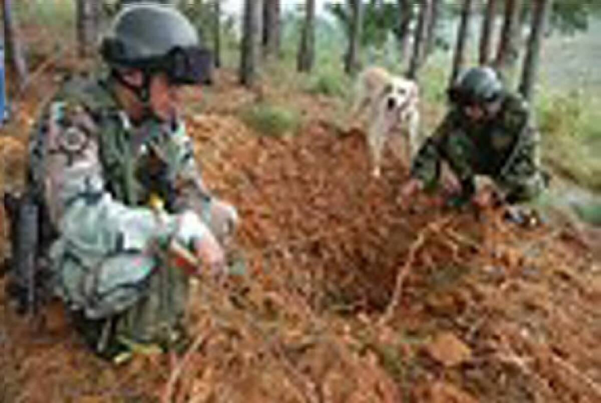 Ilustración. COLPRENSA