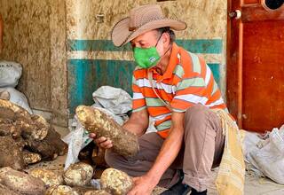 Más de 10 mil campesinos en Bolívar ya venden sin intermediarios