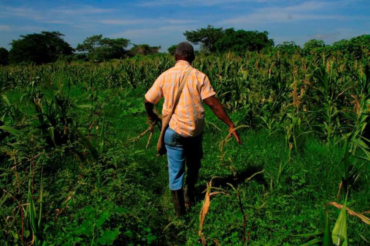 ASI en Bolívar pide organismos internacionales por asesinatos en el Cauca