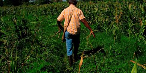 ASI en Bolívar pide organismos internacionales por asesinatos en el Cauca