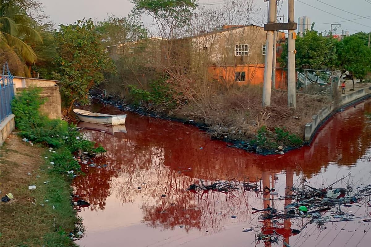 Alerta por contaminación de aguas del canal de Ceballos