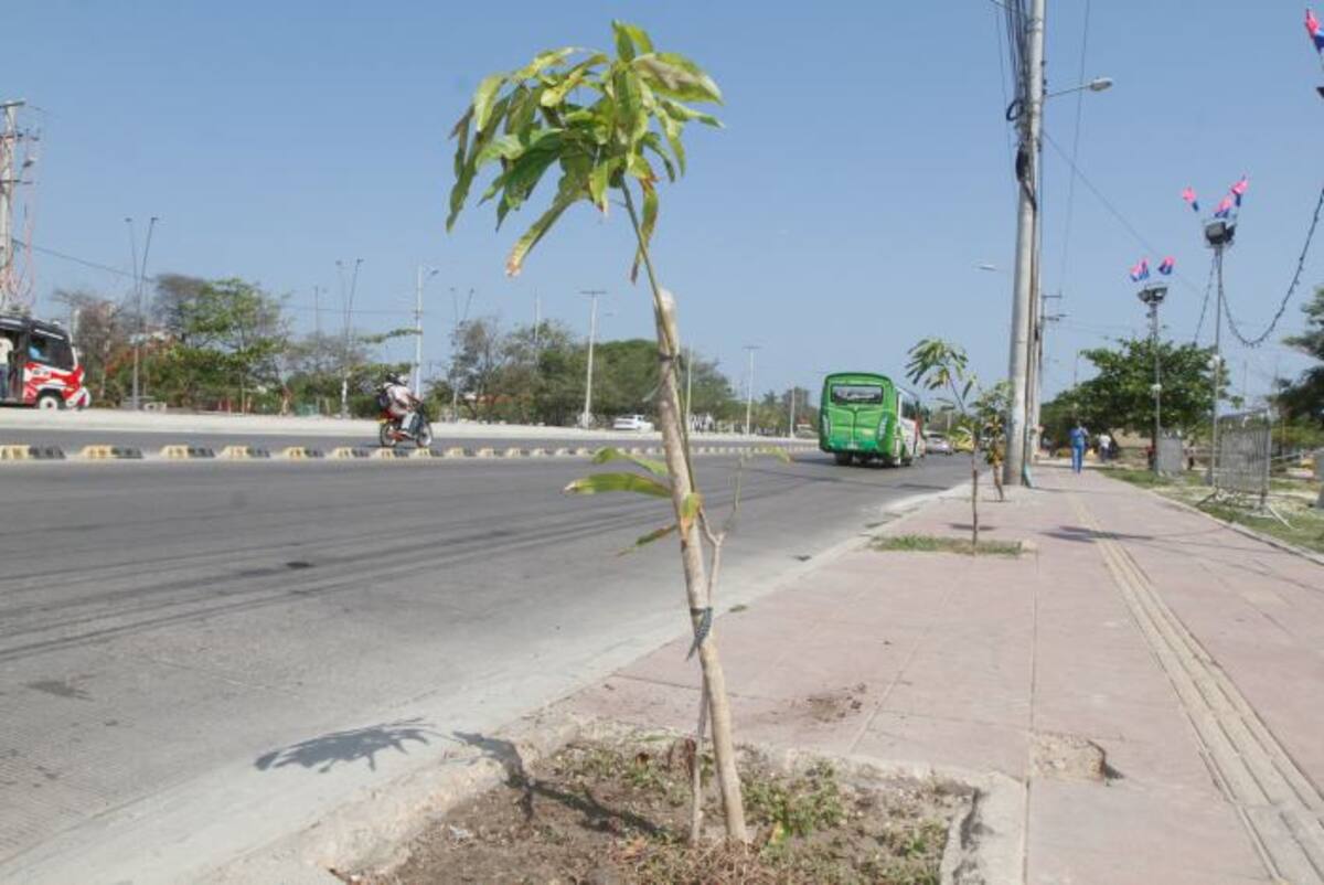 El plantón se realizará el sábado a las 8:00 a.m. en Chambacú. Toda la ciudadanía está invitada a participar. Julio Castaño - El Universal