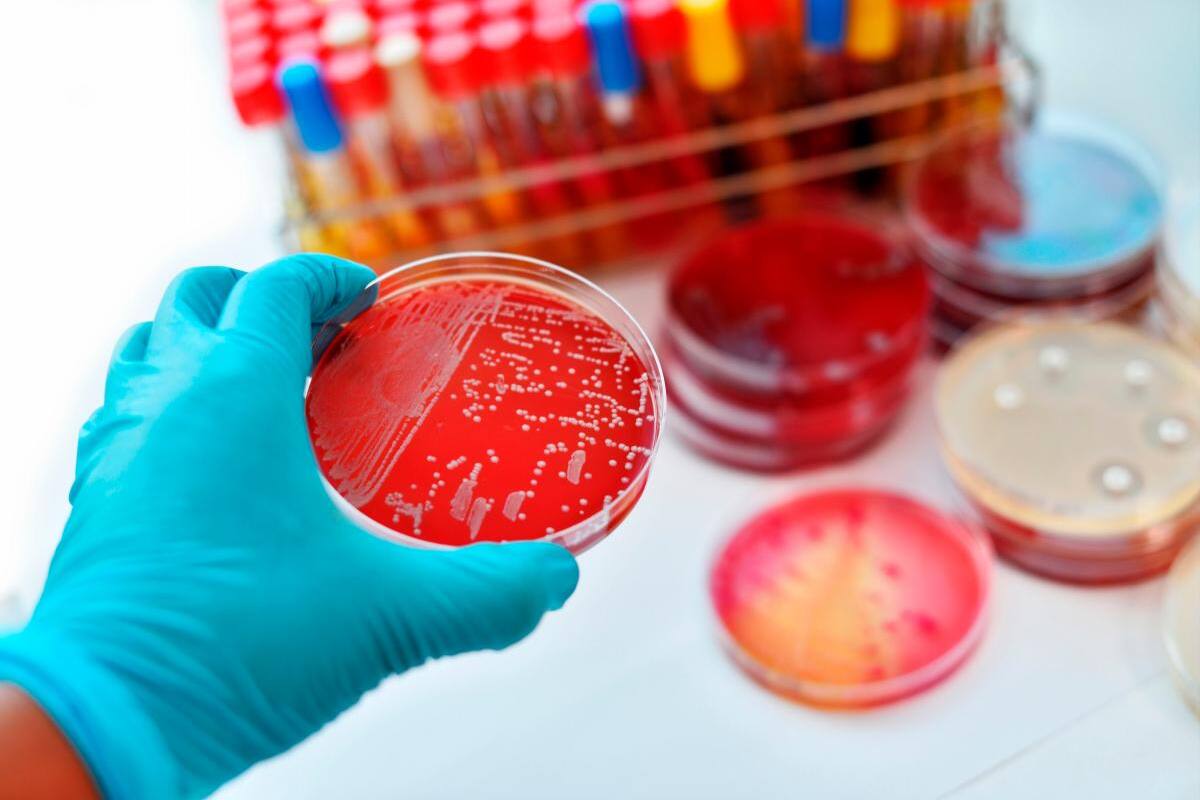 Polémico doctor hacía experimentos con enfermos de alzheimer y párkinson