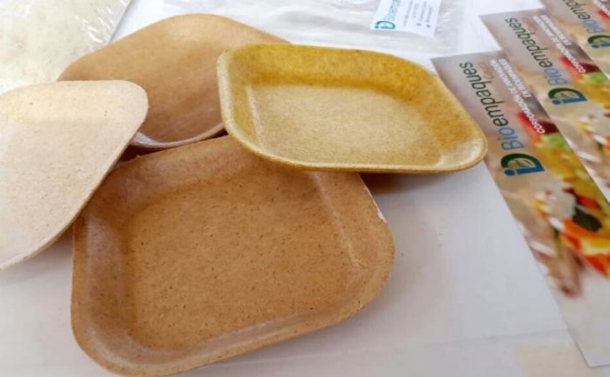 La Superintendencia de Industria y Comercio (SIC) le otorgó la patente de invención a la universidad del Cauca por su plato desechable biodegradable. CORTESÍA UNIVERSIDAD DEL CAUCA