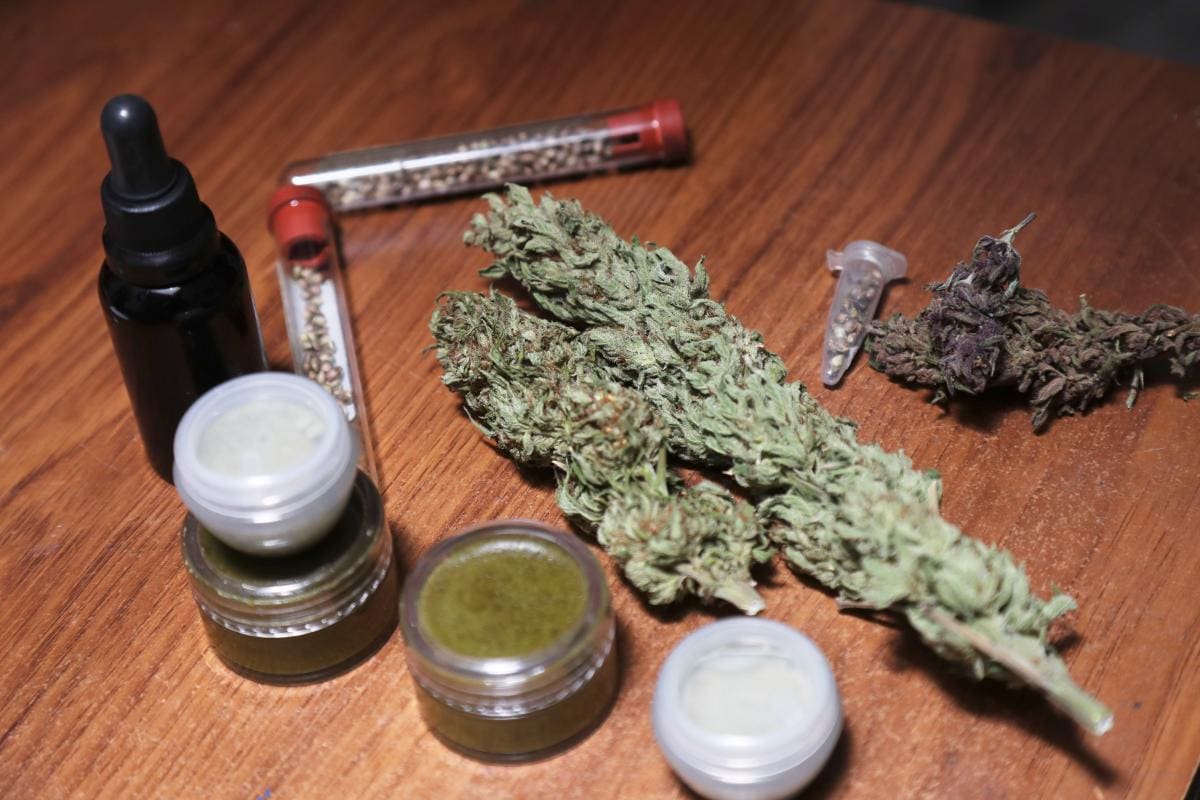 Ecuador está a punto de legalizar el cannabis medicinal
