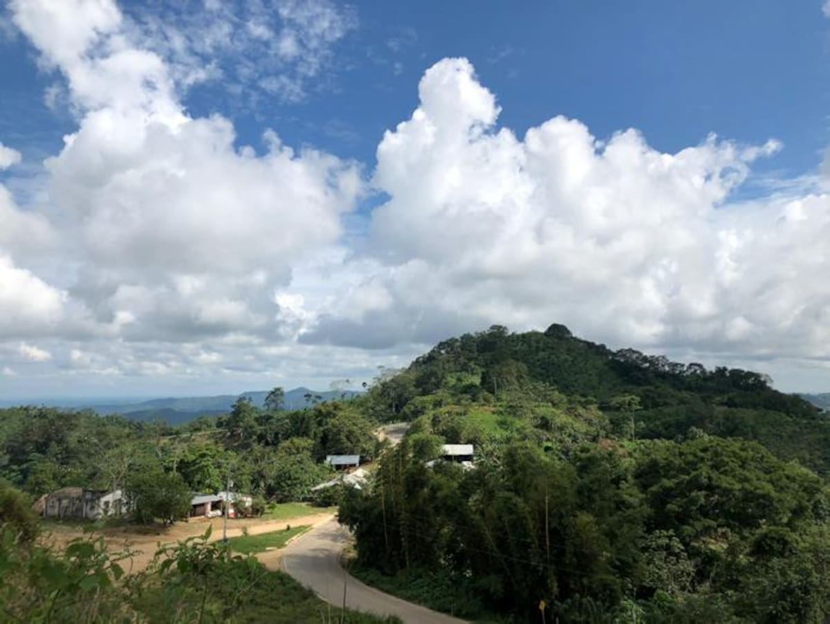 Familias vienen a La Cansona desde San Jacinto, San Juan, Ovejas y Maicao.