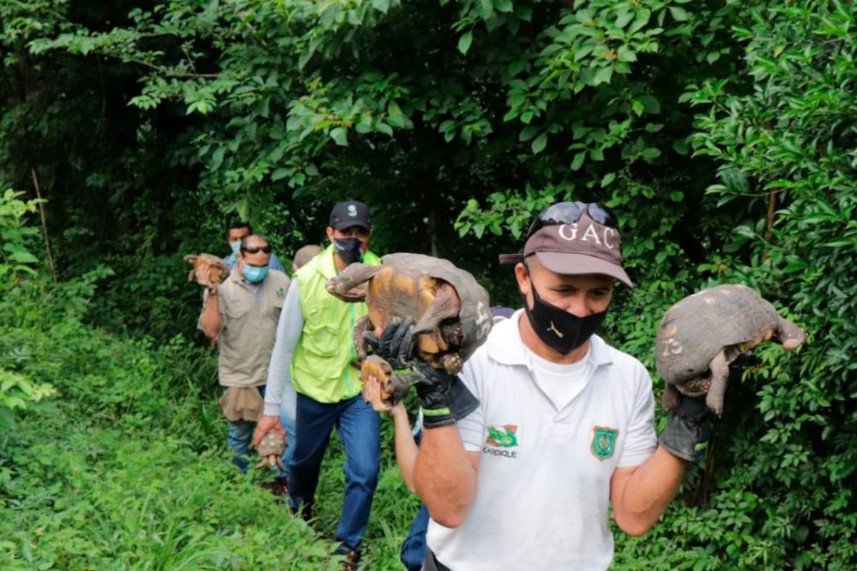 280 jóvenes serán guardias ambientales en Bolívar