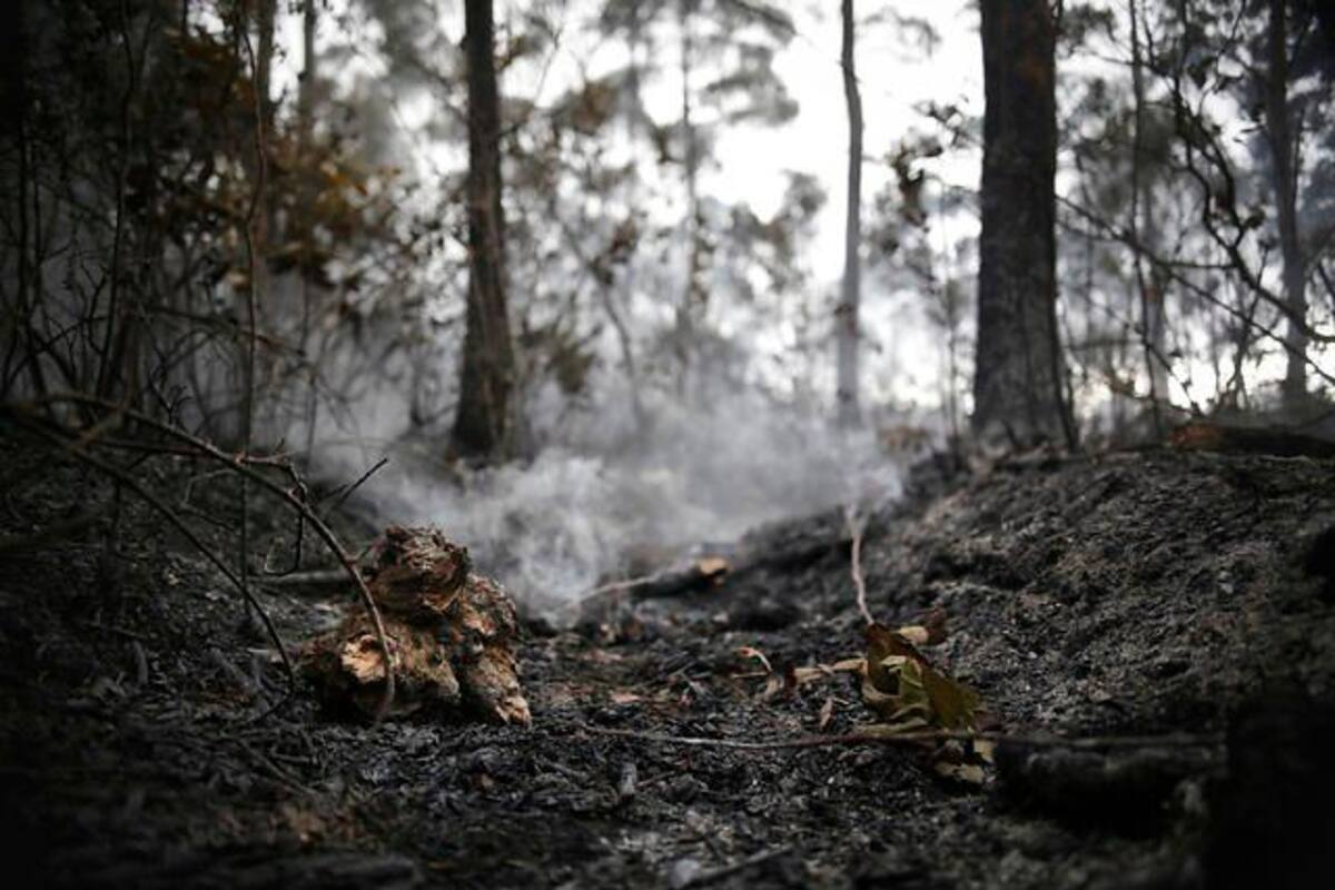 Miles de personas combaten casi 200 incendios en Siberia