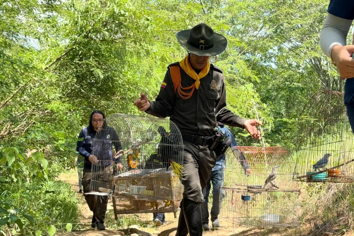42 animales regresaron a su hábitat natural tras jornada de liberación
