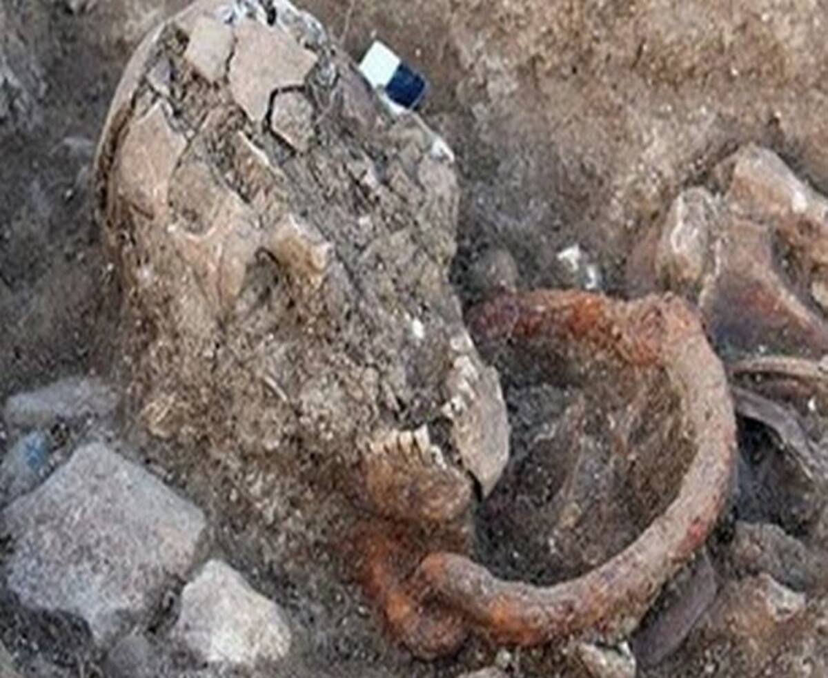 Los esqueletos fueron encontrados con grilletes y encadenados.