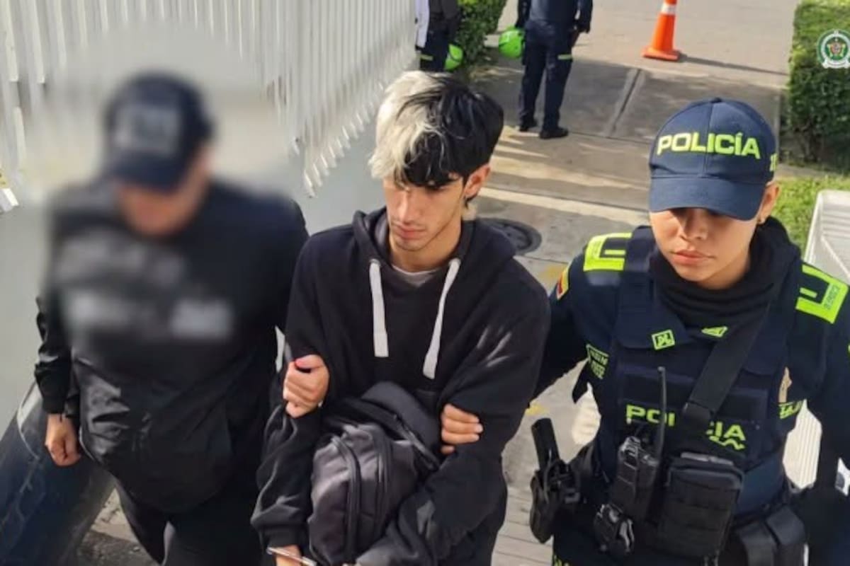 Intentó ocultar el asesinato de su novia con una falsa versión: pasará 44 años en prisión