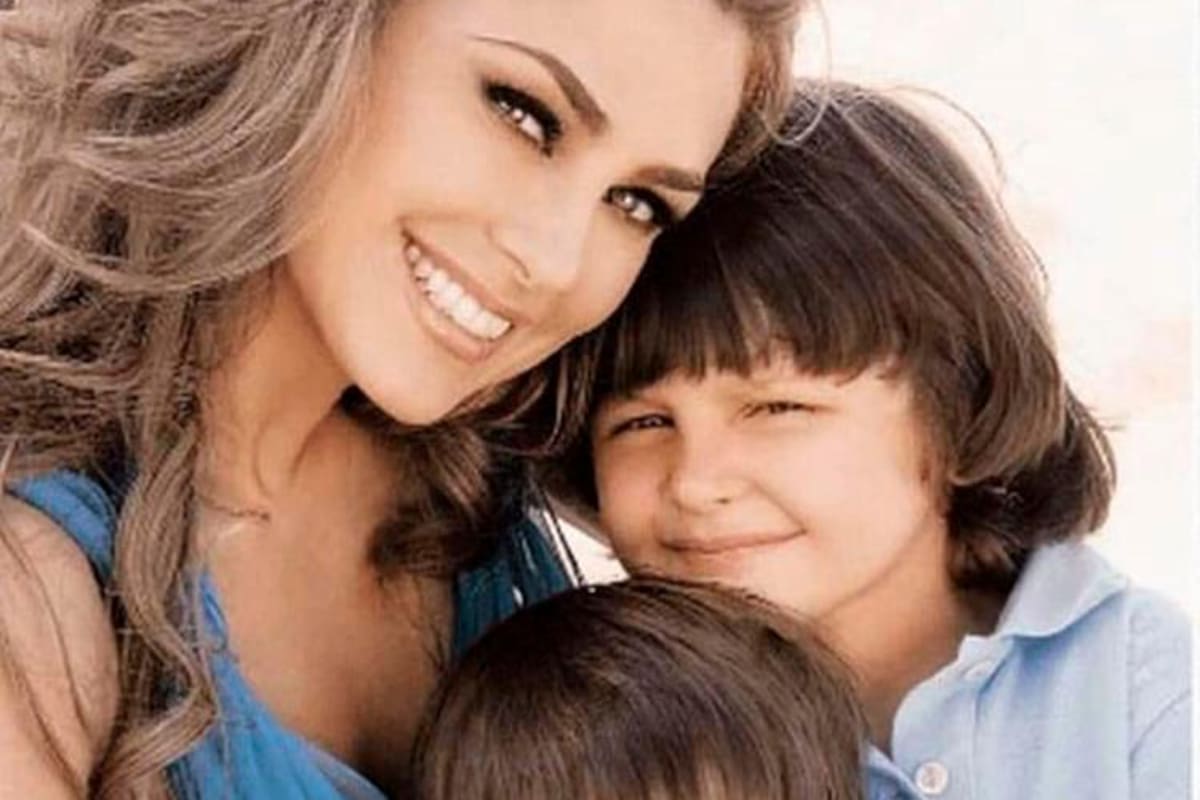 ¡Increíble! Luis Miguel llevaría tres años sin pagar la pensión de sus hijos