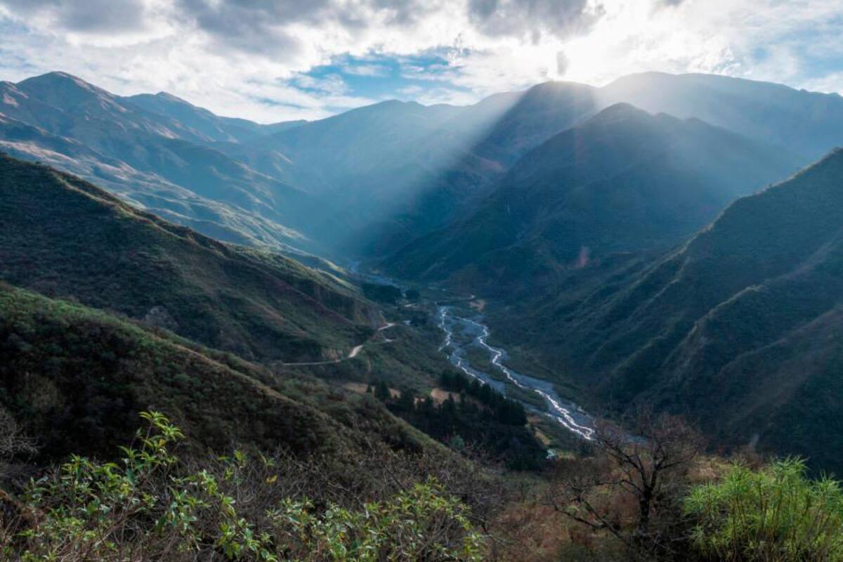 Los bosques más destacados en Latinoamérica