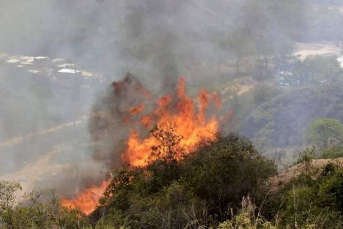 El incendio se produce en el anillo vial de Bucaramanga. COLPRENSA