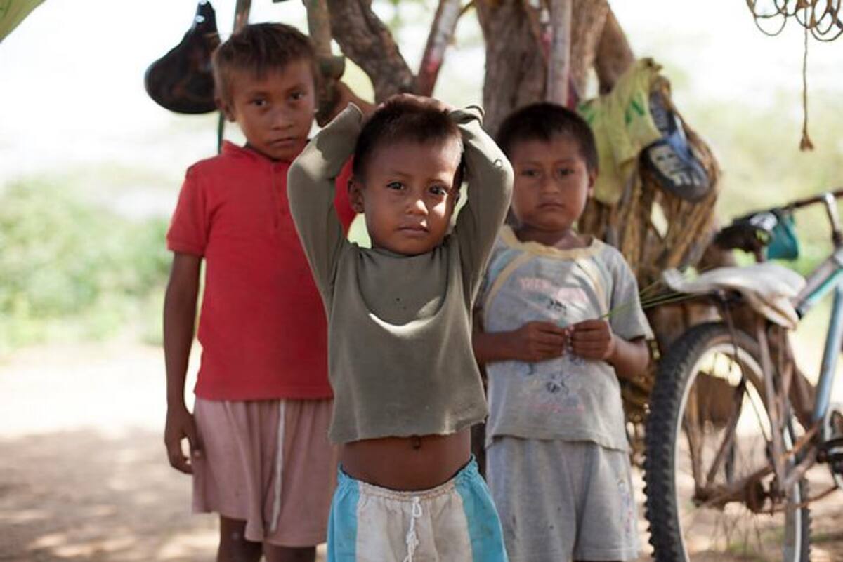 Niños de La Guajira COLPRENSA
