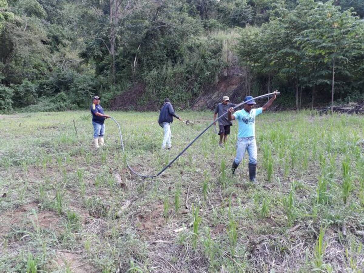 Solo quedó el terreno que es aprovechado para el cultivo de arroz por parte de los campesinos residentes. Cortesía