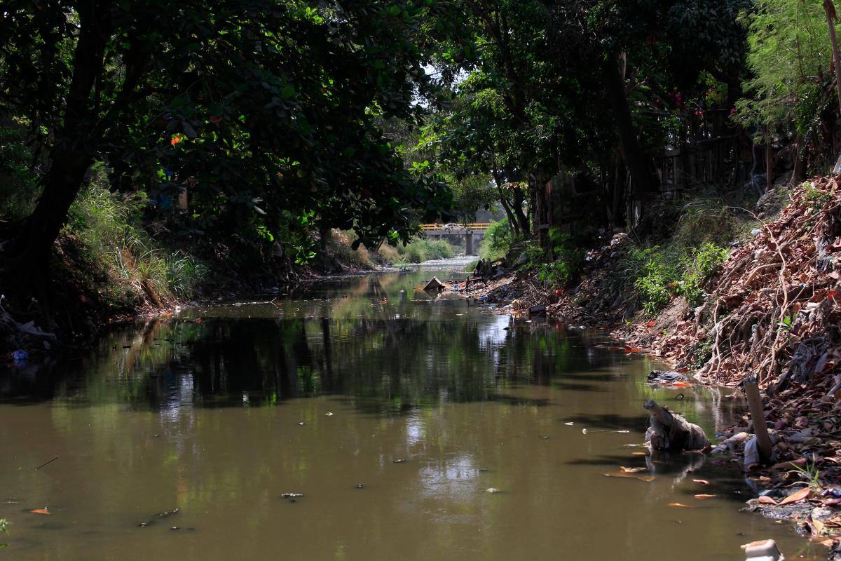 Arrastrados por arroyo en San Pedro habrían sido hallados en el caño Caimán de Olaya