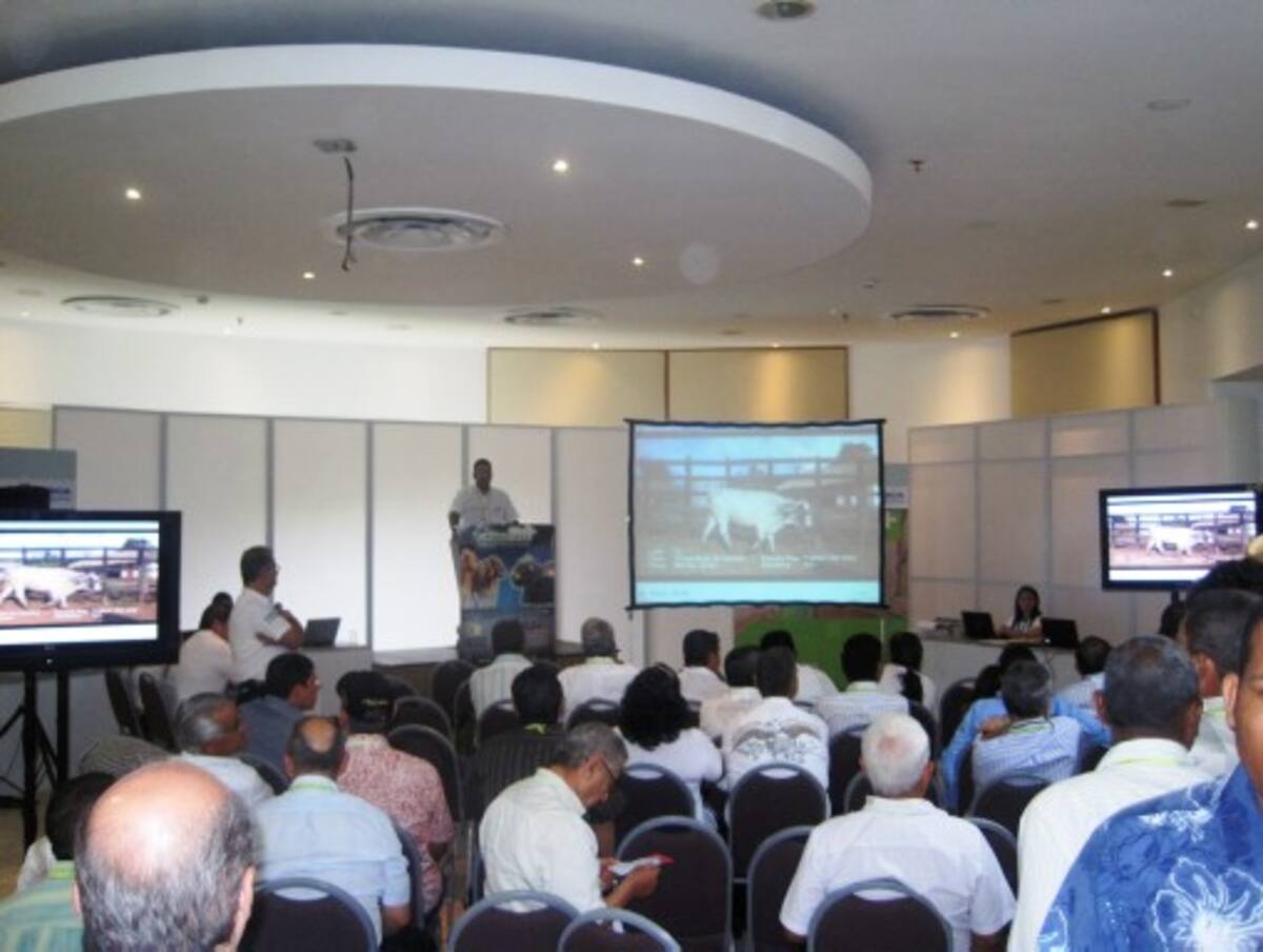 Subastar S.A. Córdoba desde mañana realizará varias subastas ganaderas virtuales en Agroexpo en Bogotá con participación de ganaderos y comerciantes de Planeta Rica y Montería. REDACCIÓN DIARIO EL UNIVERSAL