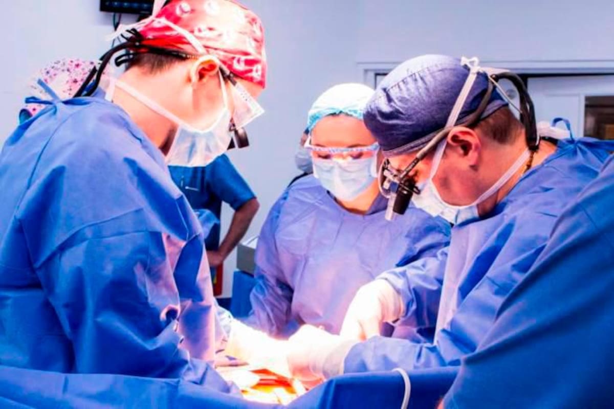 12 mitos sobre la donación de órganos en Colombia