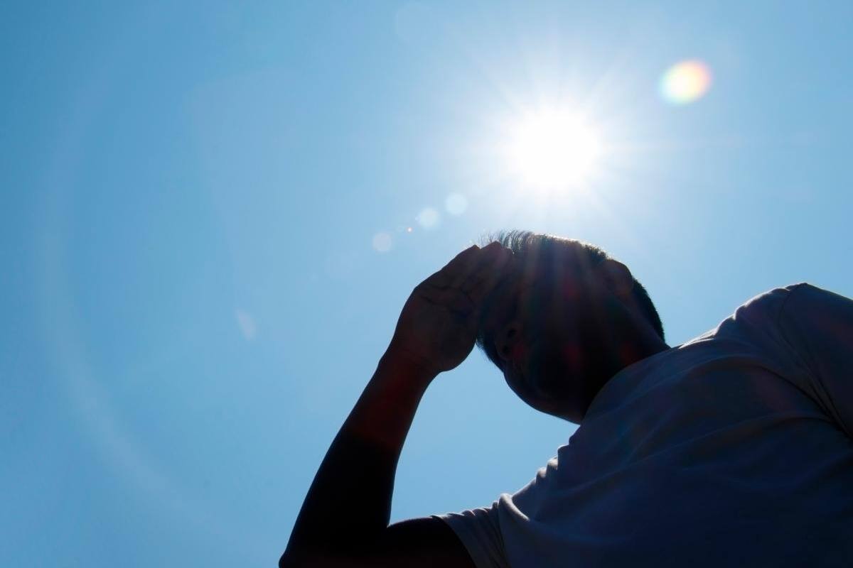 Fenómeno de El Niño hasta principios del 2024: ¿cómo mitigar su impacto?