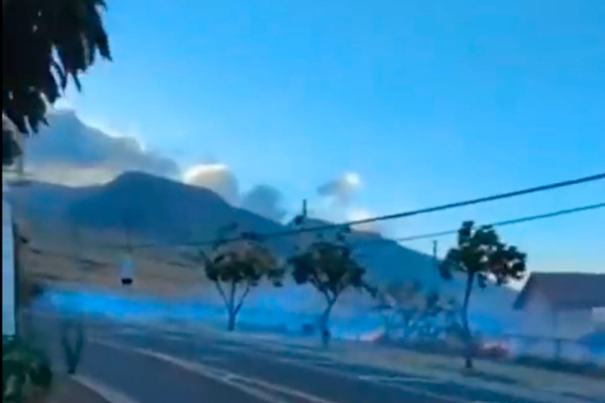 Video: por cortos circuitos habrían iniciado los incendios en Hawái