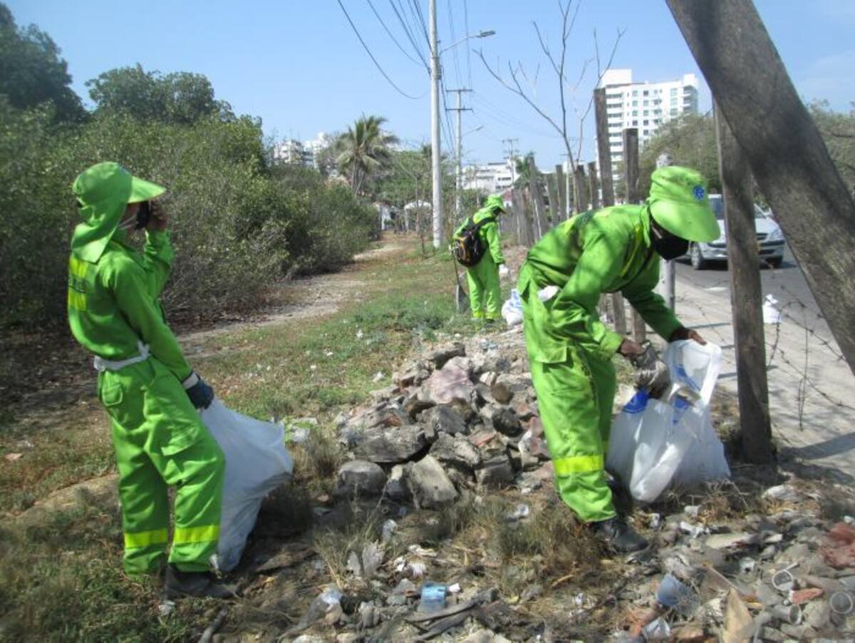 Los alrededores del Puente Las Palmas fueron limpiados por Pacaribe.