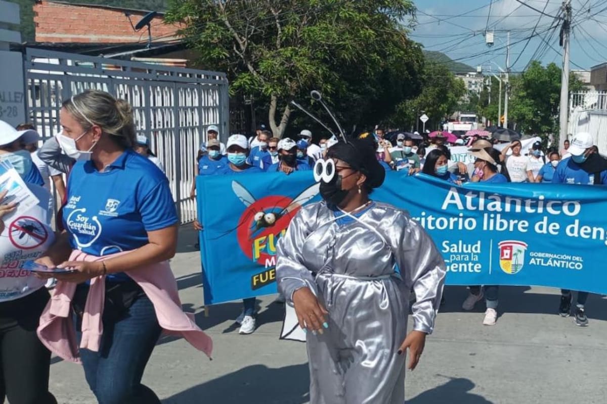 Alcaldes y secretarías de salud deben incrementar medidas contra el dengue