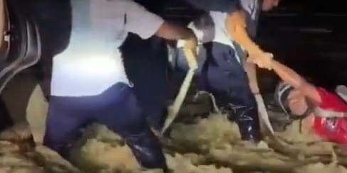 Video: gobernador rescata a motociclista en medio de la emergencia