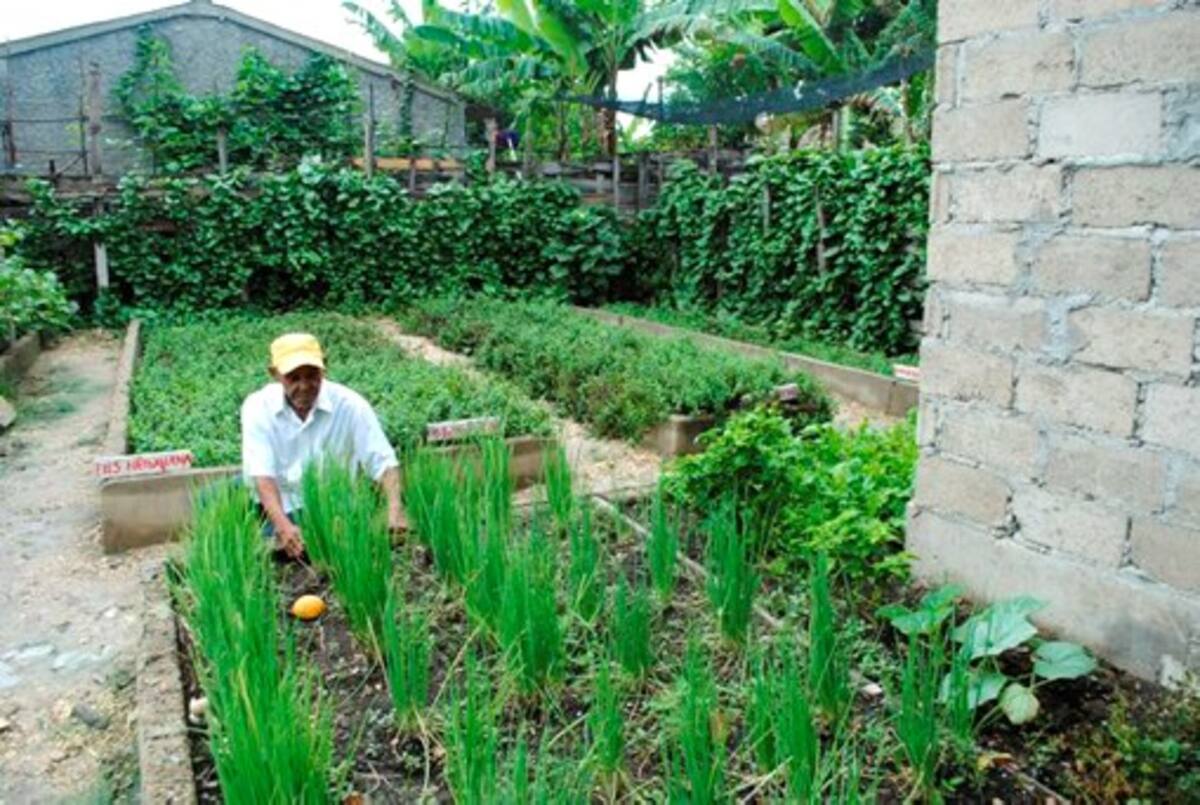 En Cartagena se benefician 700 personas, y en Bolívar 360 más, y los más beneficiados son los niños especiales, mujeres con discapacidad menor. Cortesía