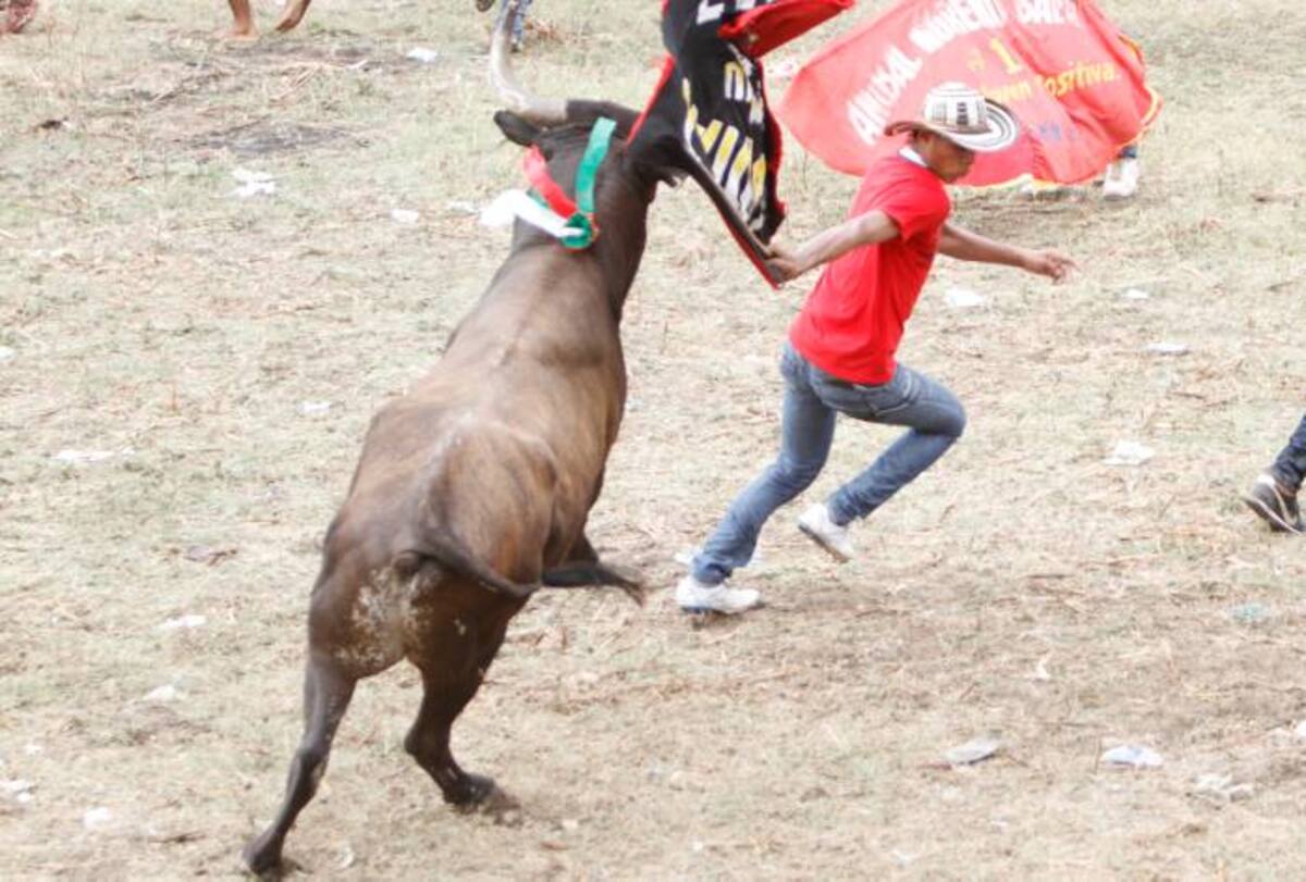 Esta tarde dejó más de 20 corneados y tres caballos lesionados. JULIO CASTAÑO - EL UNIVERSAL