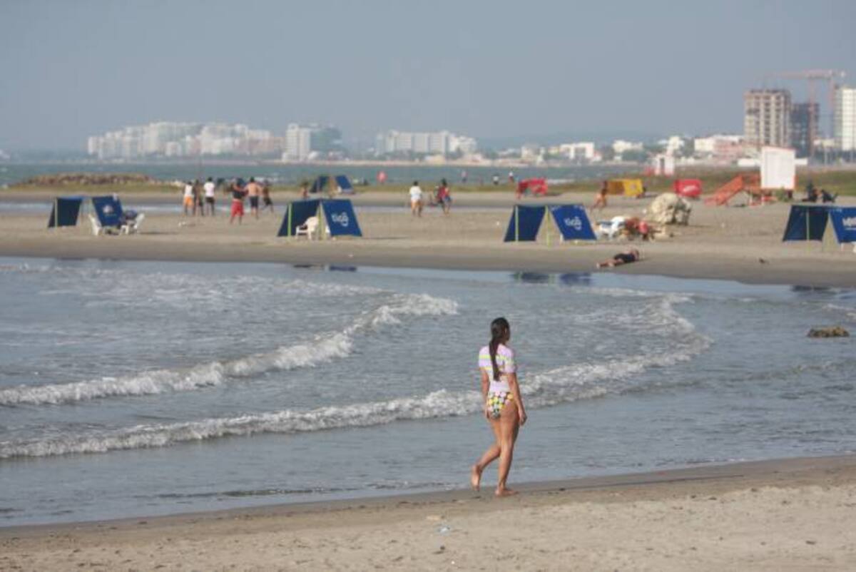 El proyecto sería ejecutado en 650 metro de playa en el sector de Marbella.