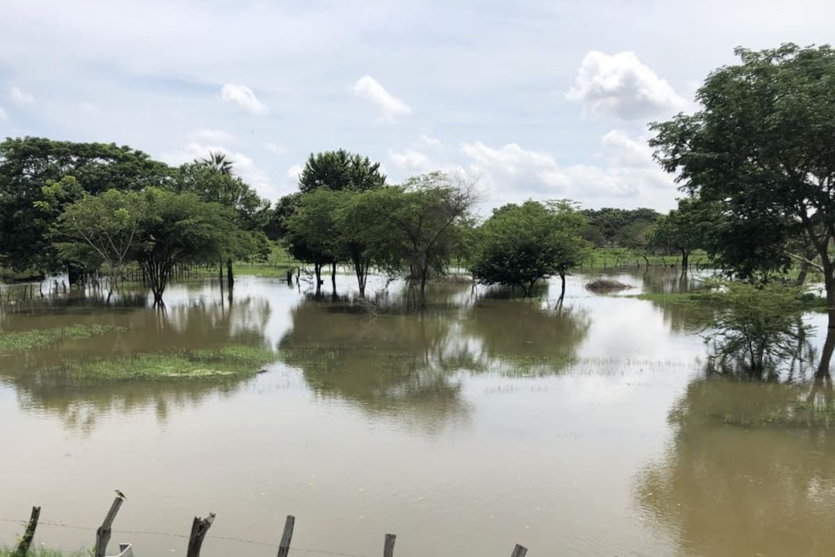 Campesinos del sur del Atlántico sufren los embates del invierno